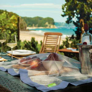 P7110361b HR Shoofly Newport